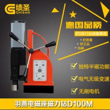 D100MRainBird