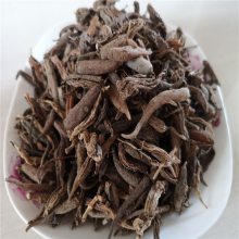 供应双肾参 中药材双肾参低价批发