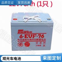 A ʯīϩǦ48v60v72v綯20ahŵϰƿ