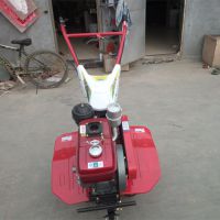 ػ ԰Сػ ๦ֱ