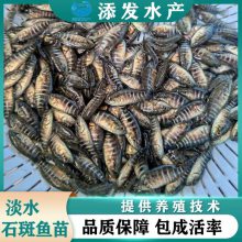 糡 ˮʯ ṩֳָ