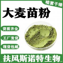 大麦苗粉 绿色精细粉末 大麦苗青汁粉 喷雾干燥工艺水溶性好