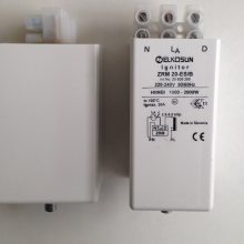 ZRM 20 ES/B 220V TRIDONIC ELKOSUN DELO HONLE UV