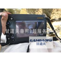 ţBGDF-W6۸񣬲ţBǮ