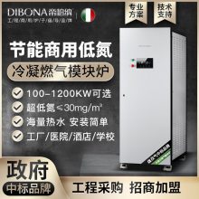 支持定制 帝柏纳低氮燃气锅炉 商用热水炉 工业燃气模块炉多功率可选 智能操作