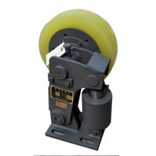 ú LS44.6 LS45 LS50ùֹ޶ ˫޵ 