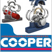 SKF�ʷ���� ��Ͳ��עͲ COP.01EB70MEX �ⲮCooper�ʷ������