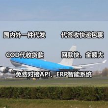 ̩С-̩CODС-̩羳CODС