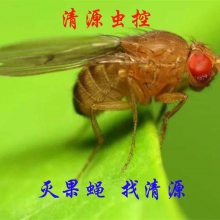 ԴأʳƷۺϳ溦鳧 溦Ʒ