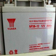 YUASA/ǳNP225-12 Ǧ12V225AHҵ