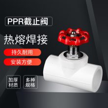 PPR截止阀 给水排水管管件配件多规格升降式领热水管通用截止阀