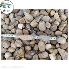 韶关厂家鹅卵石 鱼缸水景鹅卵石 园林铺路鹅卵石