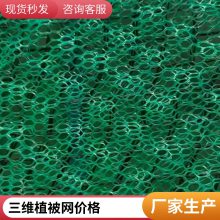 广东世杰三维复合排水网 抗拉强度高 化学性能与物理性能稳定
