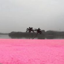 景区网红人造沙滩粉色沙子 染色彩砂 烧结彩砂 粉色彩砂 颜色定制