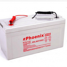 Phoenix6CNJ200 12V200AHܴ