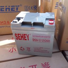 SEHEYSH24-12 12V24AH UPSԴ EPSӦԴ