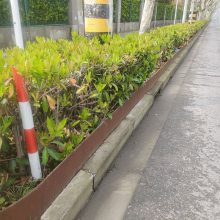 景观幕墙园林耐候钢板Q235NHB耐候板镂空雕刻 种植池用耐候板中厚板