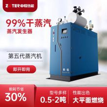 燃气蒸汽发生器干洗店烘干消毒蒸汽发生器
