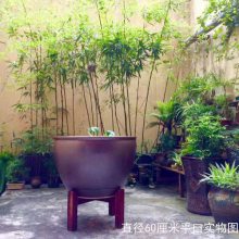 荷花养鱼水缸 青花瓷陶瓷工艺品大缸 种树瓷器缸带打孔 仿古型定制厂家