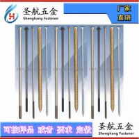 ���ݸ� ����˿ ���ݶ� ��ݸ����˿���� ʥ�����