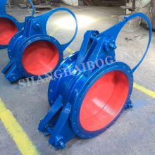 F43Xֶä巧 F43X-6C úä巧 ۾ DN100 125 150 200