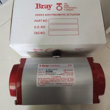 BRAYASCOִSCG551A001MS ĥ