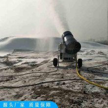 程煤户外滑雪场戏雪乐园造雪设施 大号型制雪机