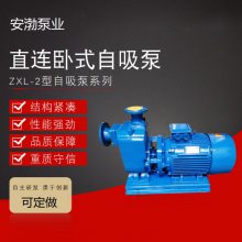 ֱʽˮ100ZXL70-75ˮ