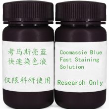 促销 Promotion 新品 速发 考马斯亮蓝快速染色液 Coomassie Blue