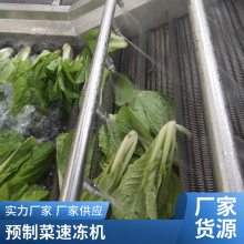 长豆角流态化速冻机 白爬豆流化床速冻机 速冻隧道