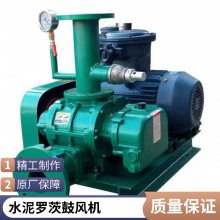 负压罗茨风机制药厂65口径型号1.1kw千瓦支持定做