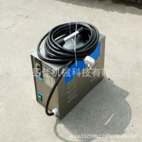 家政服务手提式蒸汽清洗机 无水清洗消毒机 厨房油污清理设备
