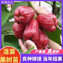 ޽ӺǰűڽƷˮϷֲ