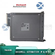 ICS T8448