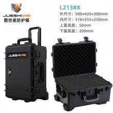 ˹豸ǱӰ䰲ȫ䱣JSM213X