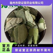 获证堂正宗药材干荷叶 无硫中药材蕸叶 原材料荷钱出售