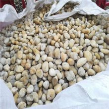 甘肃 荣茂河北鹅卵石 卵石多少钱一吨