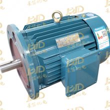 Ͼص YE3첽22kw Ч ȶǿ 綯
