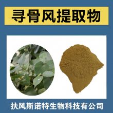 寻骨风提取物 斯诺特生物 压片糖果原料 水提浓缩工艺