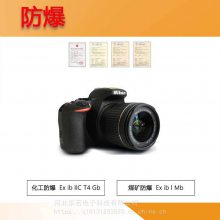  *** Exdv1301
