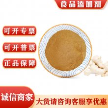 生姜粉 食品级生姜提取物 姜辣素 鲜姜浓缩粉 烘焙调味