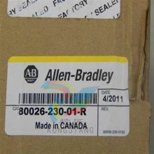 ALLEN BRADLEY 80026-173-23-R ҵԶԴģ