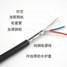 깩ӦϵGYXTW-6B1+RV2*1.5ģʽ縴
