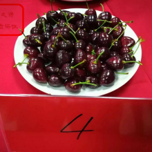 ˹8ӣ ˹8ӣ繩Ӧ ˹8ӣ۸ʵ
