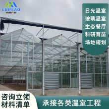 ɽõ幰綯