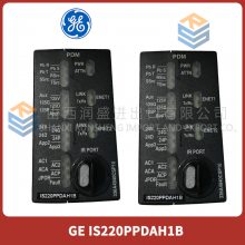IS220PPDAH1B GE 全新原装 进口 质保一年