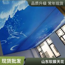 蓝天白云软膜天花 材质软膜 适用范围游泳馆、商场、门店、酒店