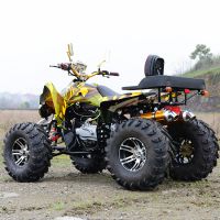 ɳ̲綯+ ԽҰɳ̲250cc