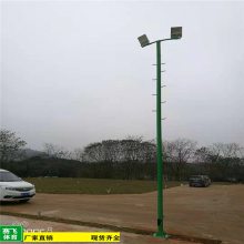 SY河池罗城led高杆灯道路灯杆丨质量***6米球场灯杆