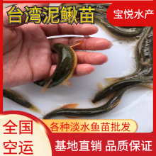 ȫ깩Ӧ巢